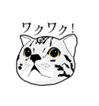 びすたんぷ（個別スタンプ：38）