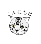 びすたんぷ（個別スタンプ：40）