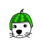 小みかん（個別スタンプ：8）