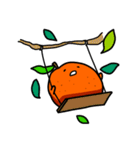 小みかん（個別スタンプ：11）