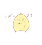 ぴよみち（個別スタンプ：23）