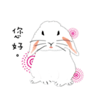 slothful Rabbit（個別スタンプ：9）