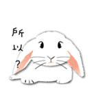 slothful Rabbit（個別スタンプ：11）