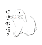 slothful Rabbit（個別スタンプ：22）