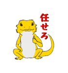 フトアゴトカゲのランボくん（個別スタンプ：2）