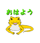フトアゴトカゲのランボくん（個別スタンプ：4）