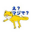 フトアゴトカゲのランボくん（個別スタンプ：5）