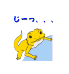 フトアゴトカゲのランボくん（個別スタンプ：7）