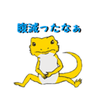 フトアゴトカゲのランボくん（個別スタンプ：8）