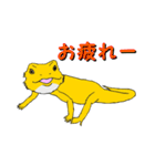 フトアゴトカゲのランボくん（個別スタンプ：9）