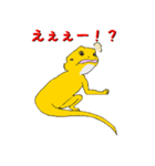 フトアゴトカゲのランボくん（個別スタンプ：12）