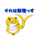 フトアゴトカゲのランボくん（個別スタンプ：14）