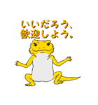 フトアゴトカゲのランボくん（個別スタンプ：22）
