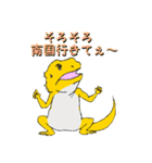 フトアゴトカゲのランボくん（個別スタンプ：24）
