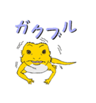 フトアゴトカゲのランボくん（個別スタンプ：27）