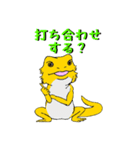 フトアゴトカゲのランボくん（個別スタンプ：31）