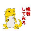 フトアゴトカゲのランボくん（個別スタンプ：39）