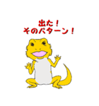 フトアゴトカゲのランボくん（個別スタンプ：40）