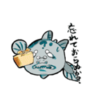 ご長寿怪魚・椎良（しいら）さん（個別スタンプ：15）