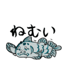 ご長寿怪魚・椎良（しいら）さん（個別スタンプ：24）