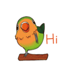 Naughty lovebird in Taiwan（個別スタンプ：1）