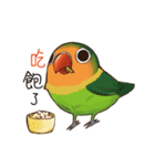 Naughty lovebird in Taiwan（個別スタンプ：4）