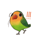 Naughty lovebird in Taiwan（個別スタンプ：8）