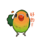 Naughty lovebird in Taiwan（個別スタンプ：9）