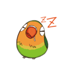 Naughty lovebird in Taiwan（個別スタンプ：10）