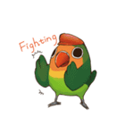Naughty lovebird in Taiwan（個別スタンプ：11）