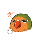 Naughty lovebird in Taiwan（個別スタンプ：12）