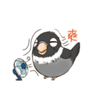 Naughty lovebird in Taiwan（個別スタンプ：15）