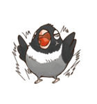 Naughty lovebird in Taiwan（個別スタンプ：17）