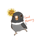 Naughty lovebird in Taiwan（個別スタンプ：18）