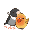 Naughty lovebird in Taiwan（個別スタンプ：21）