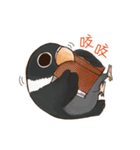 Naughty lovebird in Taiwan（個別スタンプ：24）