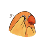 Naughty lovebird in Taiwan（個別スタンプ：34）