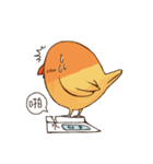 Naughty lovebird in Taiwan（個別スタンプ：38）