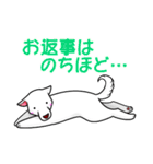 白犬たち（個別スタンプ：6）