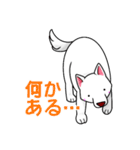 白犬たち（個別スタンプ：9）