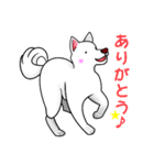 白犬たち（個別スタンプ：21）