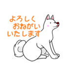 白犬たち（個別スタンプ：23）