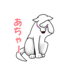 白犬たち（個別スタンプ：29）