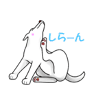 白犬たち（個別スタンプ：30）