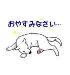 白犬たち（個別スタンプ：31）