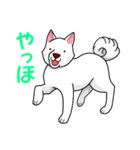 白犬たち（個別スタンプ：33）