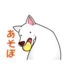 白犬たち（個別スタンプ：36）