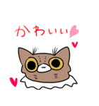 毎日がうにちゃん（個別スタンプ：11）