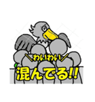 ハシビロ天国6～観察用第2弾～（個別スタンプ：6）