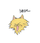 やさぐれチワワこつぶ（個別スタンプ：20）